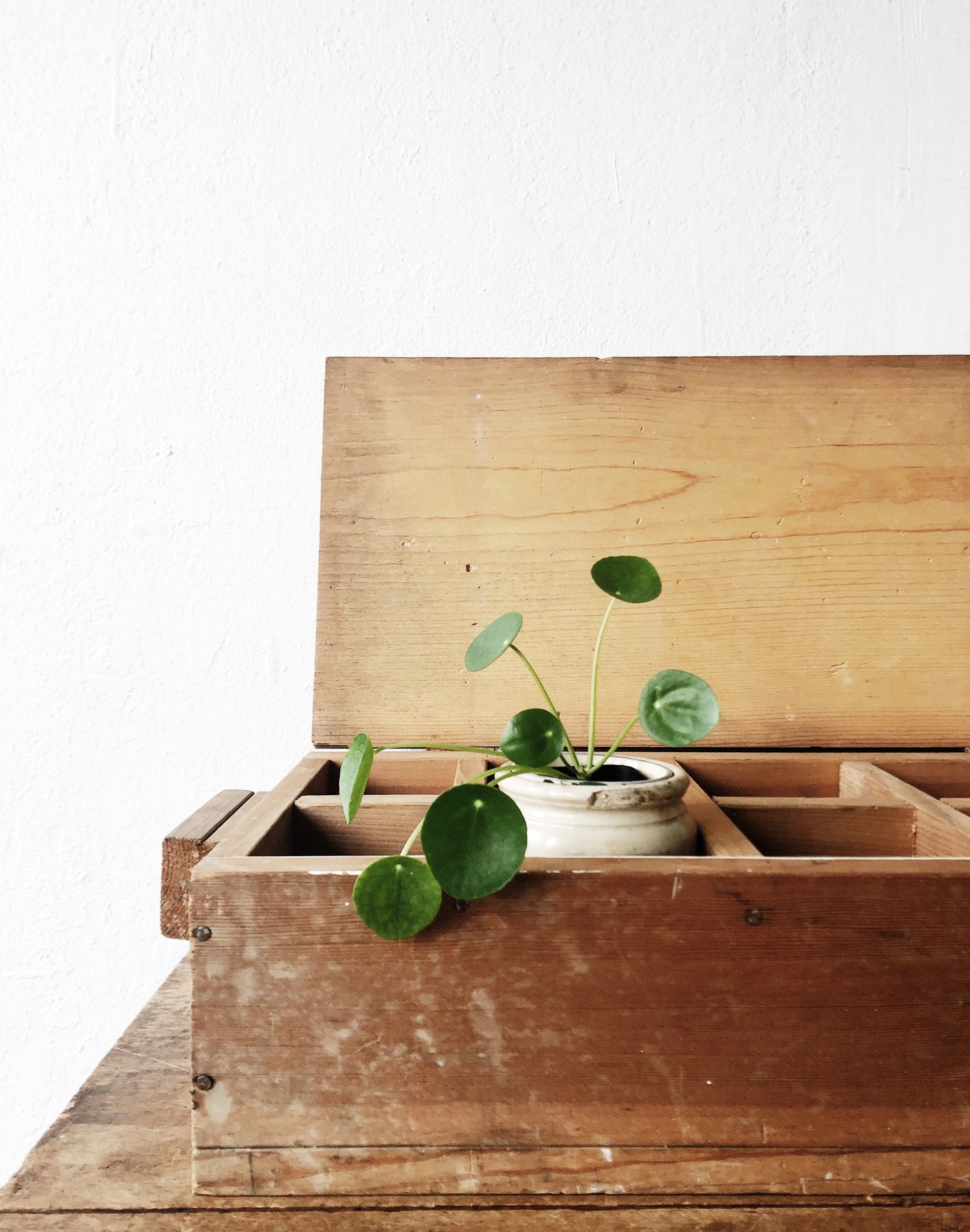 Vintage Handmade Divided Trunk