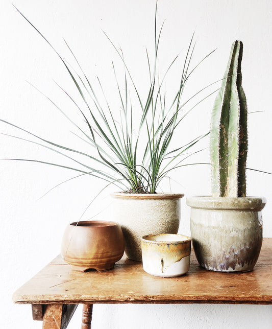 Vintage Plant Pot with/out Plant