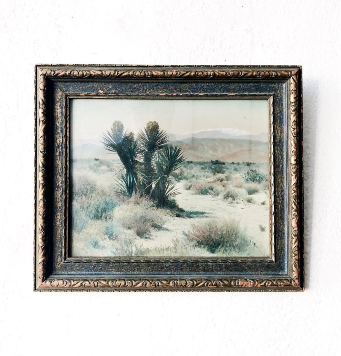 Antique Hand Tinted Photograph