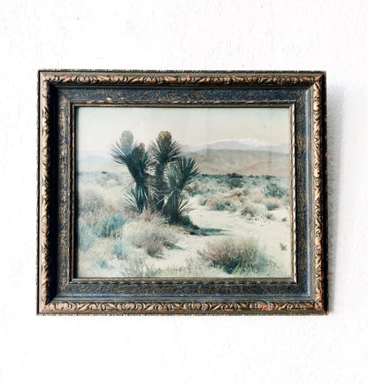 Antique Hand Tinted Photograph