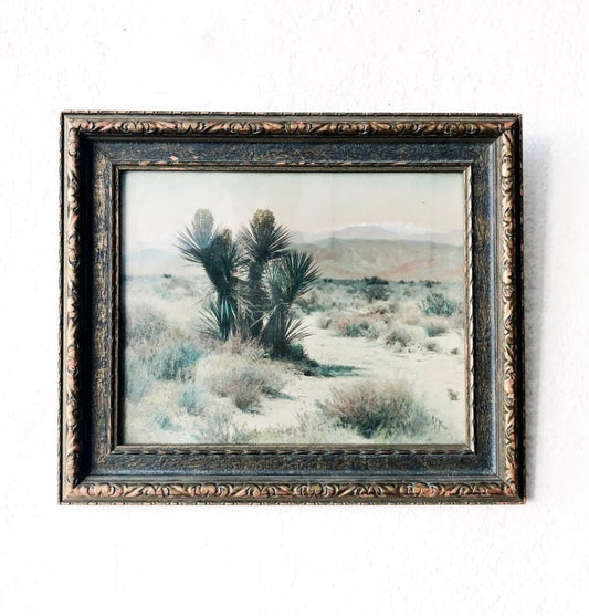 Antique Hand Tinted Photograph