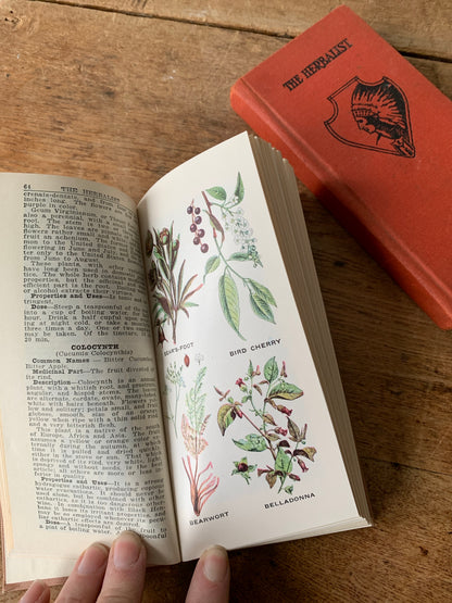 First Edition Antique Herbalist Book Collection