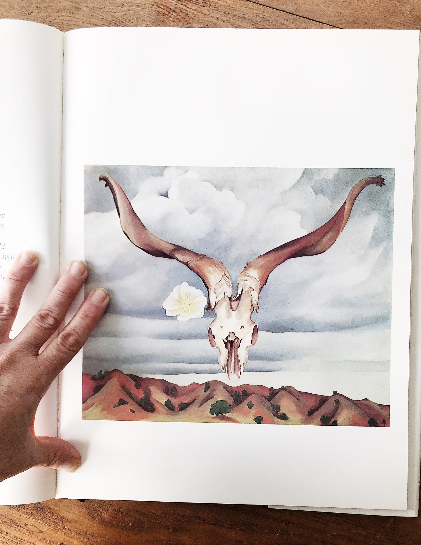 Vintage 1976 Georgia O’Keeffe Art Book