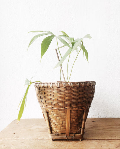 Vintage Bamboo Basket