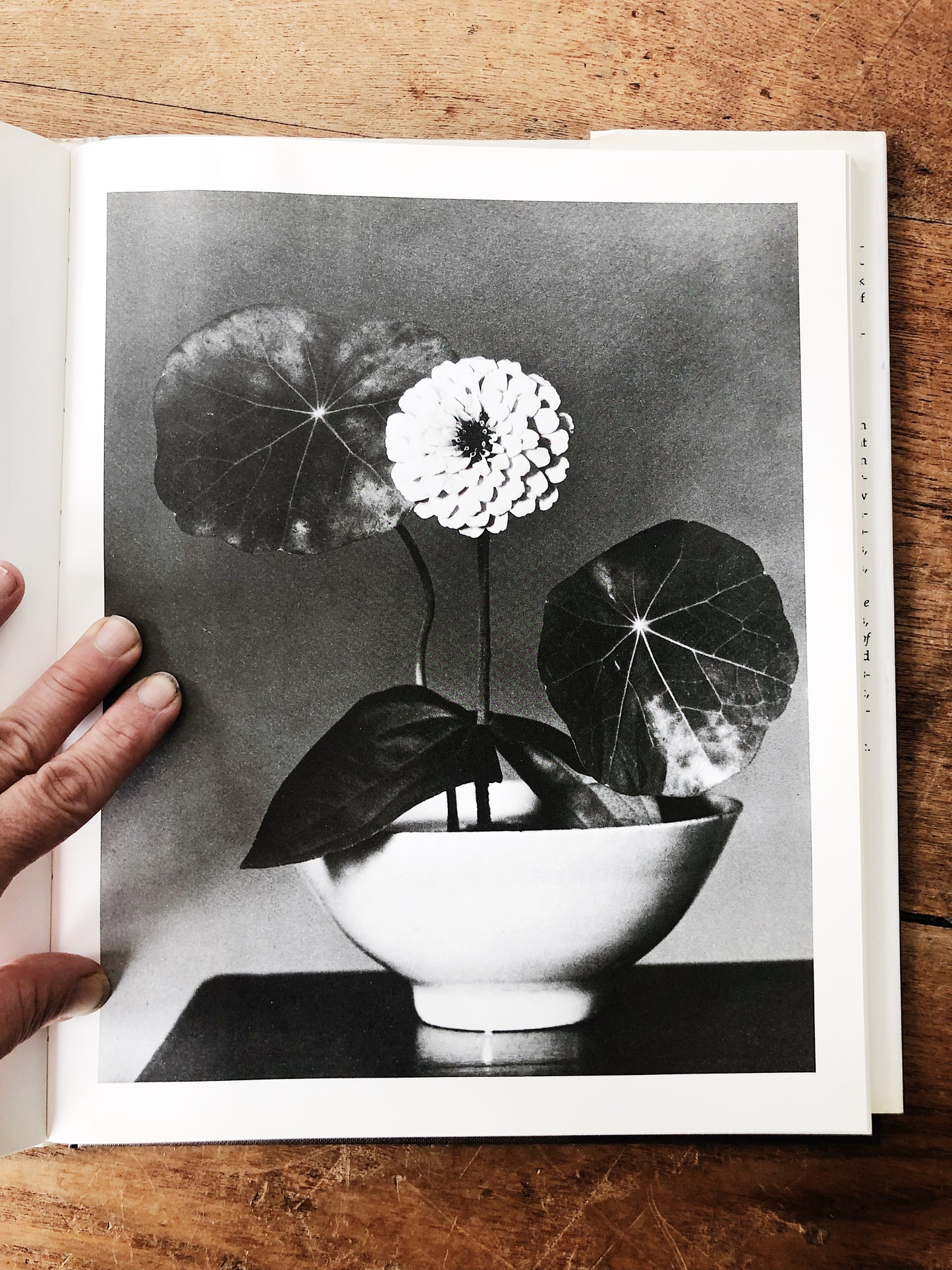 Flora Photographica Vintage Art Book