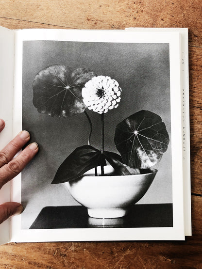 Flora Photographica Vintage Art Book
