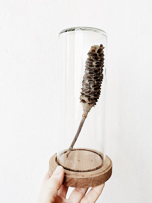 Vintage Glass Display Cloche