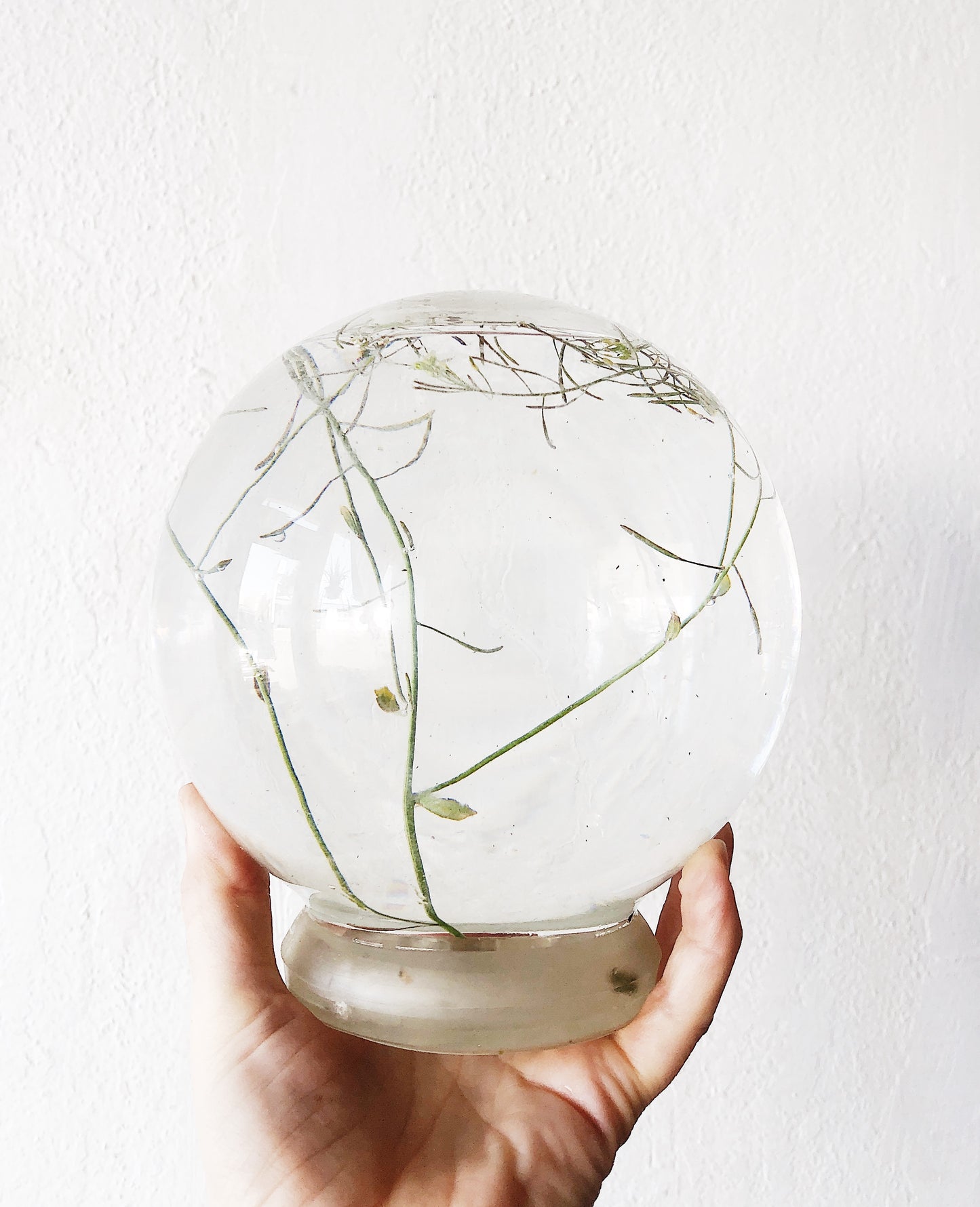 Vintage Plant Aquarium