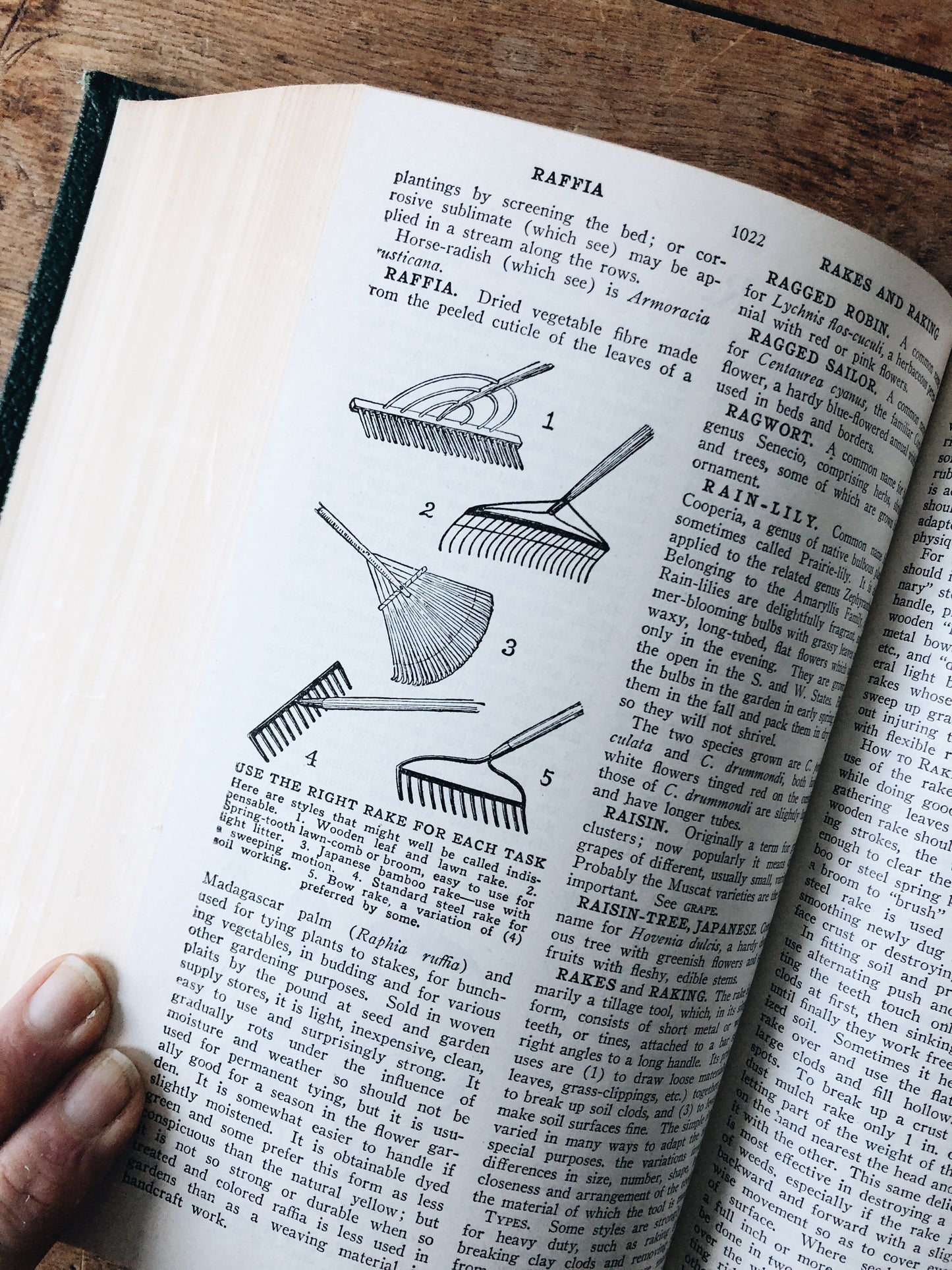 Vintage 1930s Leatherbound Gardening Encyclopedia