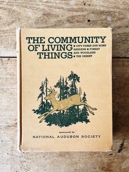 Vintage Natural History Book