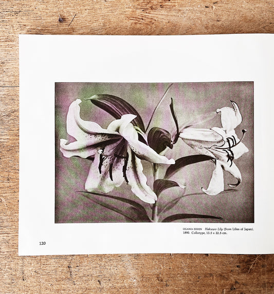 Vintage Japanese Photography Book