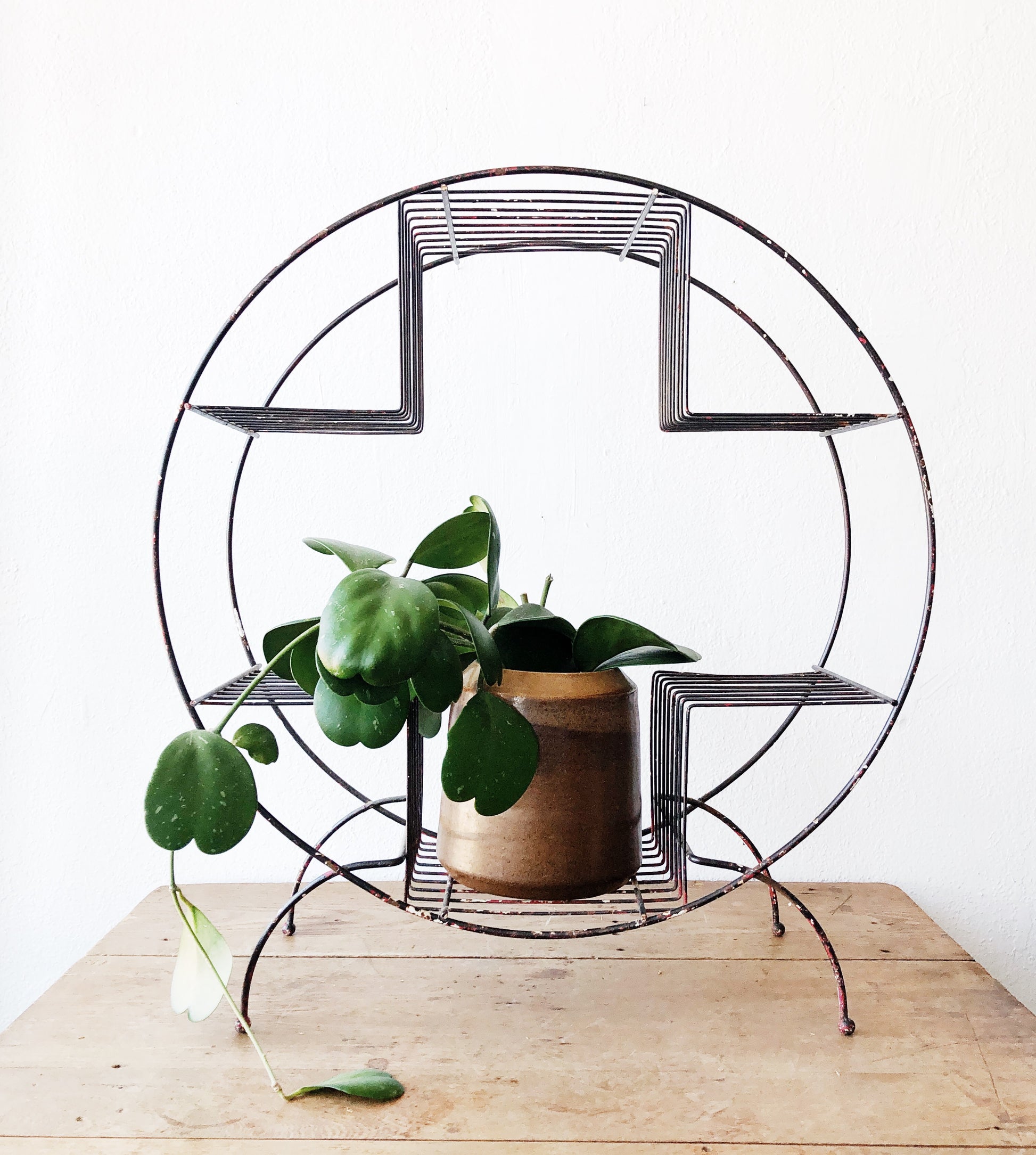 Vintage Mid Century Circular Plant Stand – Maven Collective