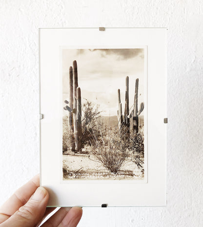 Antique Framed Desert Postcard