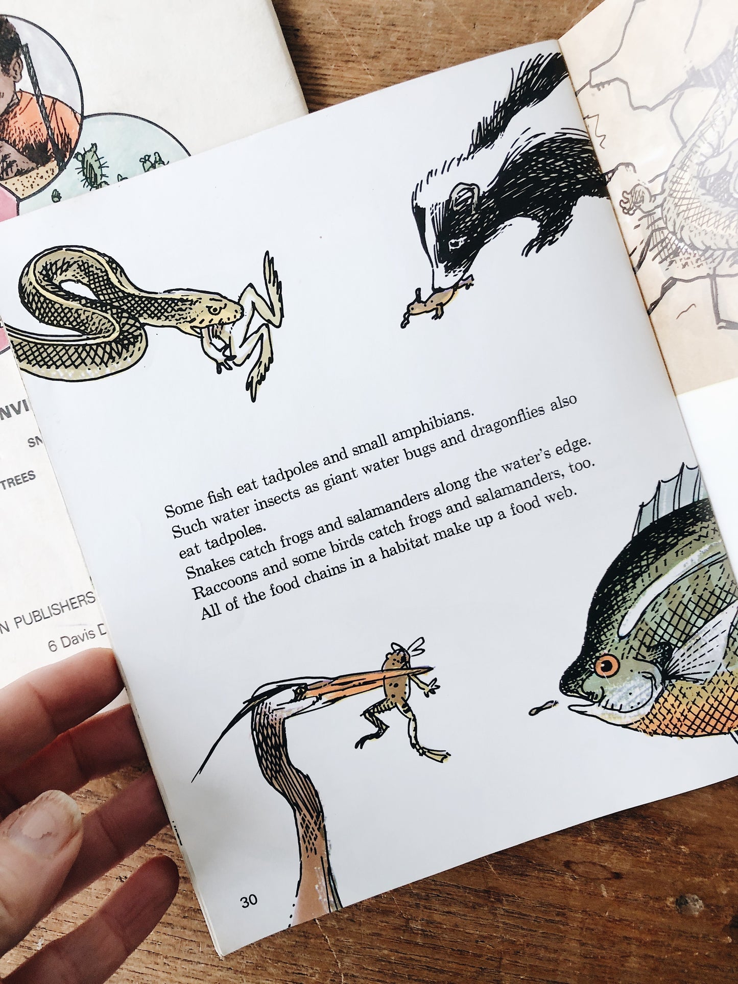 Vintage 1970s Natural History Book Set