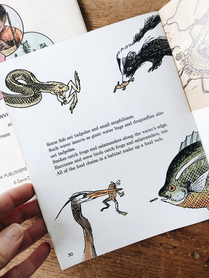Vintage 1970s Natural History Book Set