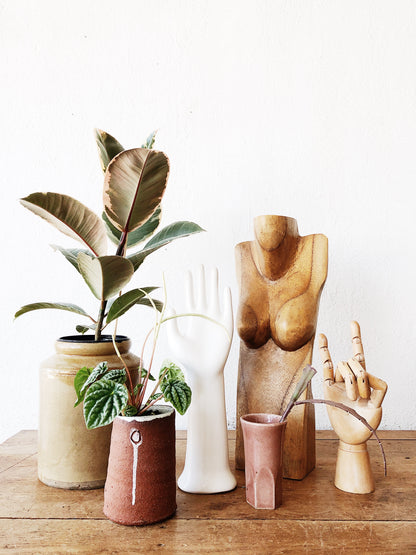 Ficus Elastica in Old Pottery Crock