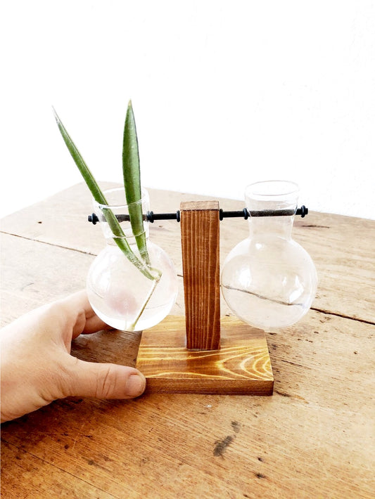 Lab Style Plant Propagator or Vase