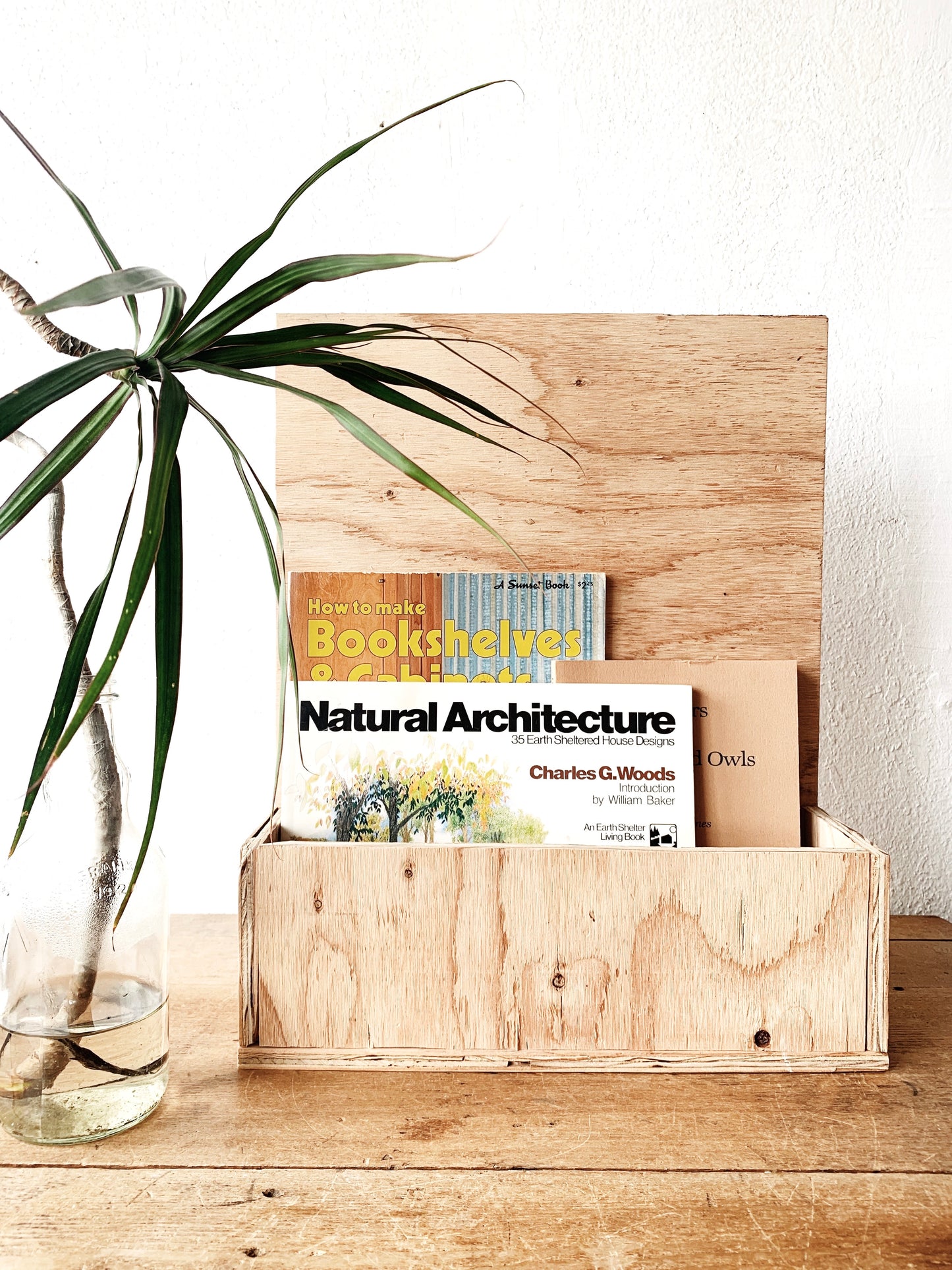 Handmade Ply Planter or Book Rack