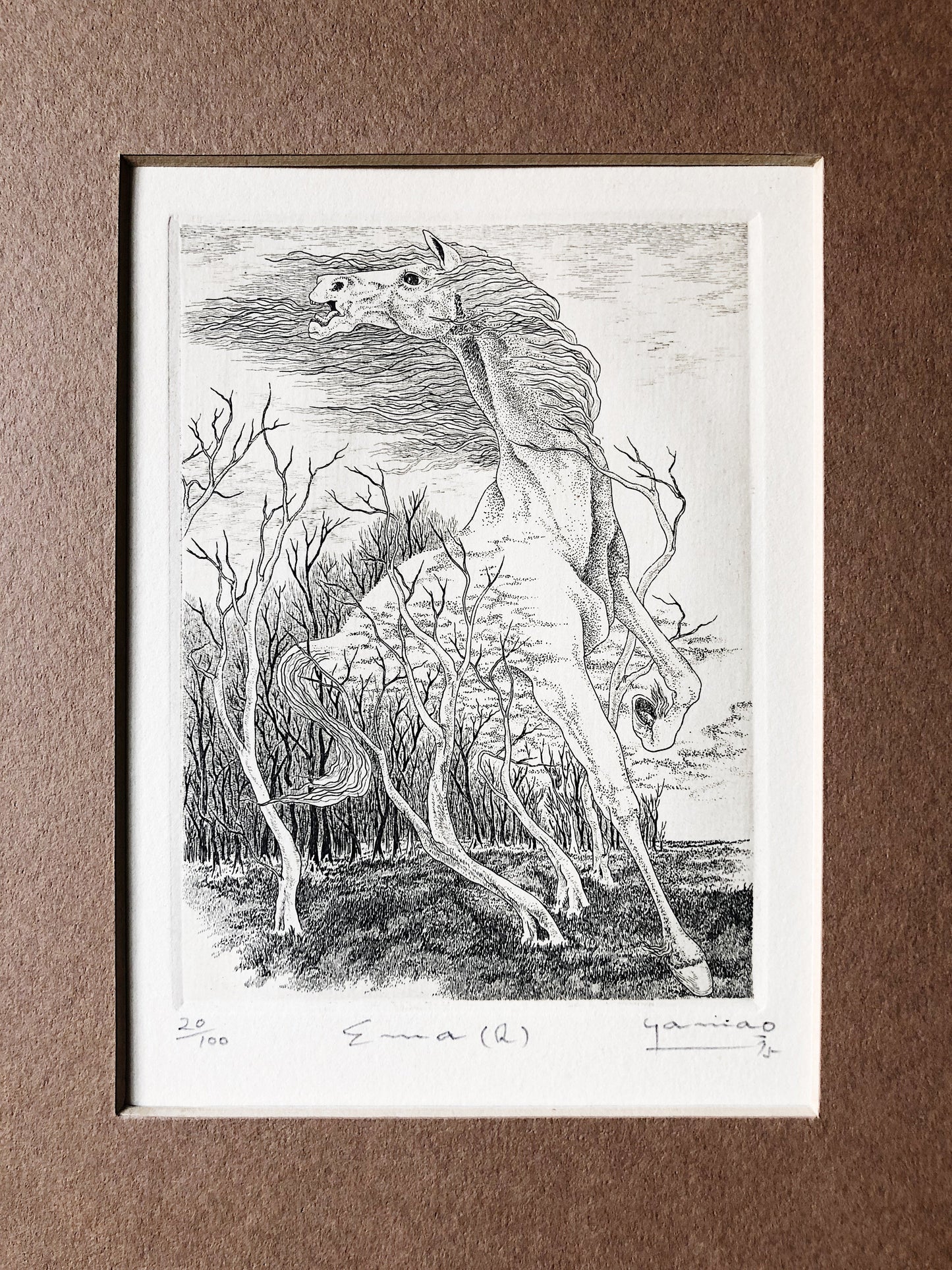 Original Wild Horse Etching