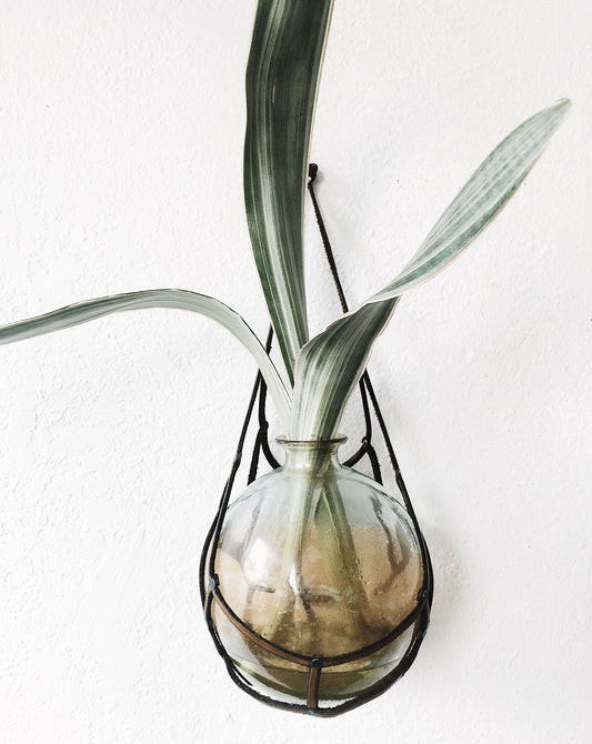 Vintage Leather and Glass Plant Propagator