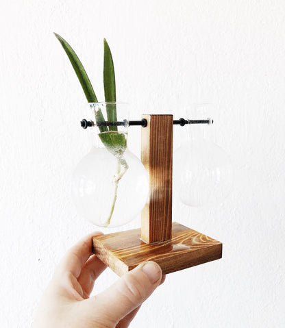 Lab Style Plant Propagator or Vase