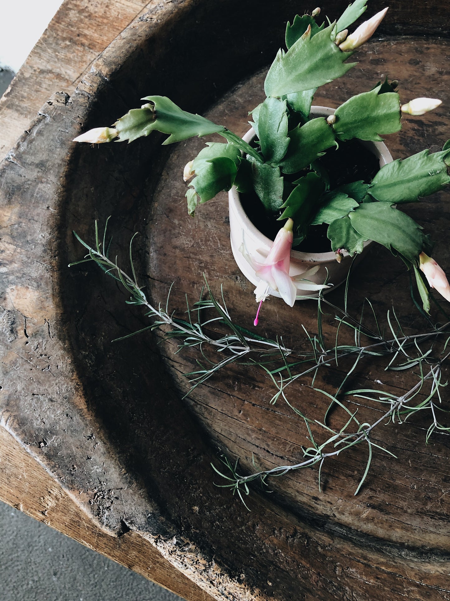 Primitive Wood Dough Bowl