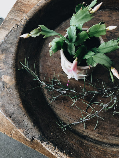 Primitive Wood Dough Bowl