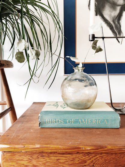 Vintage 1930s Birds of America Book