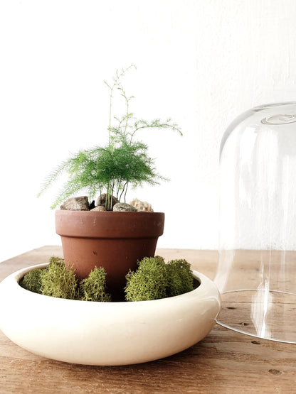 RESERVED Terrarium
