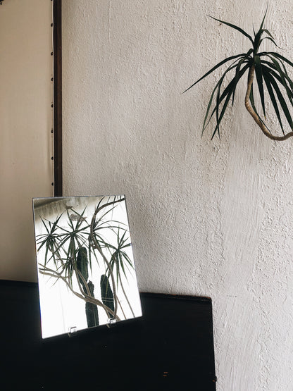 Vintage Plate Glass Mirror