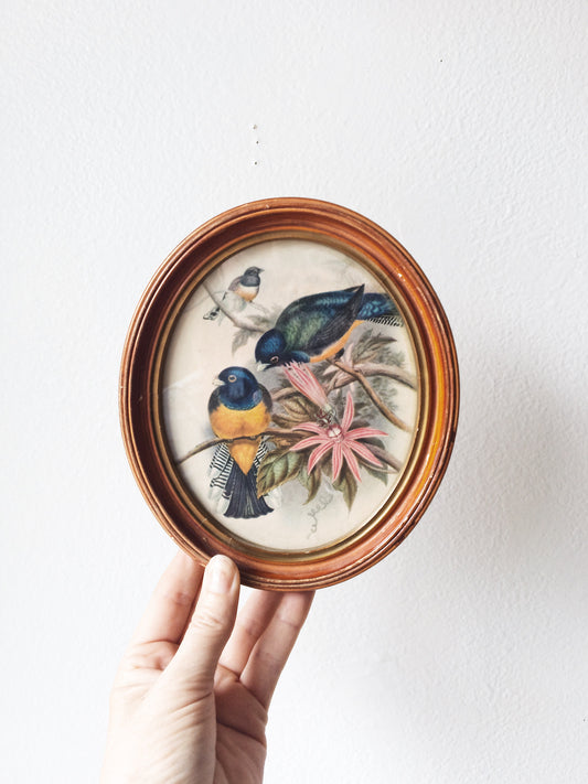 Vintage Bird Print