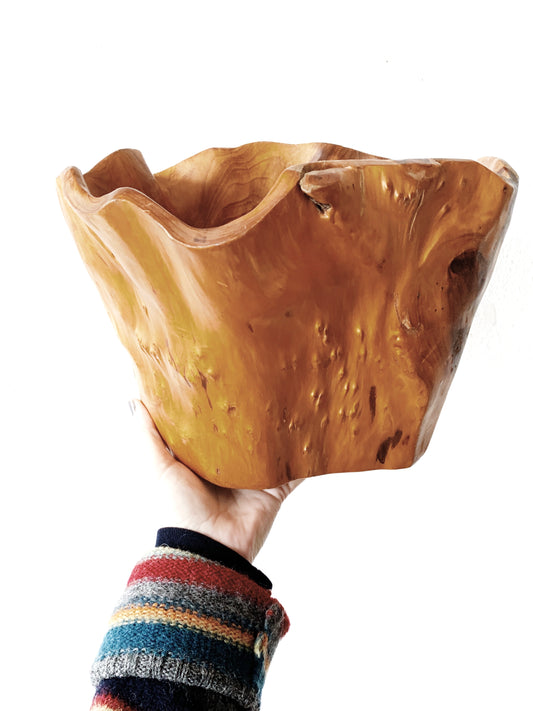 Large Sculptural Burl Bowl