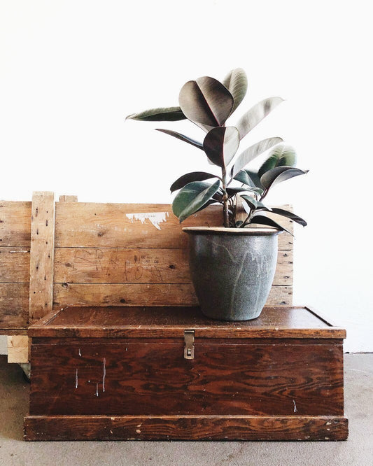 Custom Vintage Tool Chest