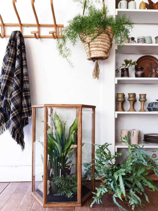 Large Wood and Glass Terrarium