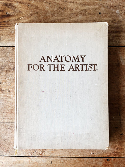 Mid Century Anatomy for the Artist Book