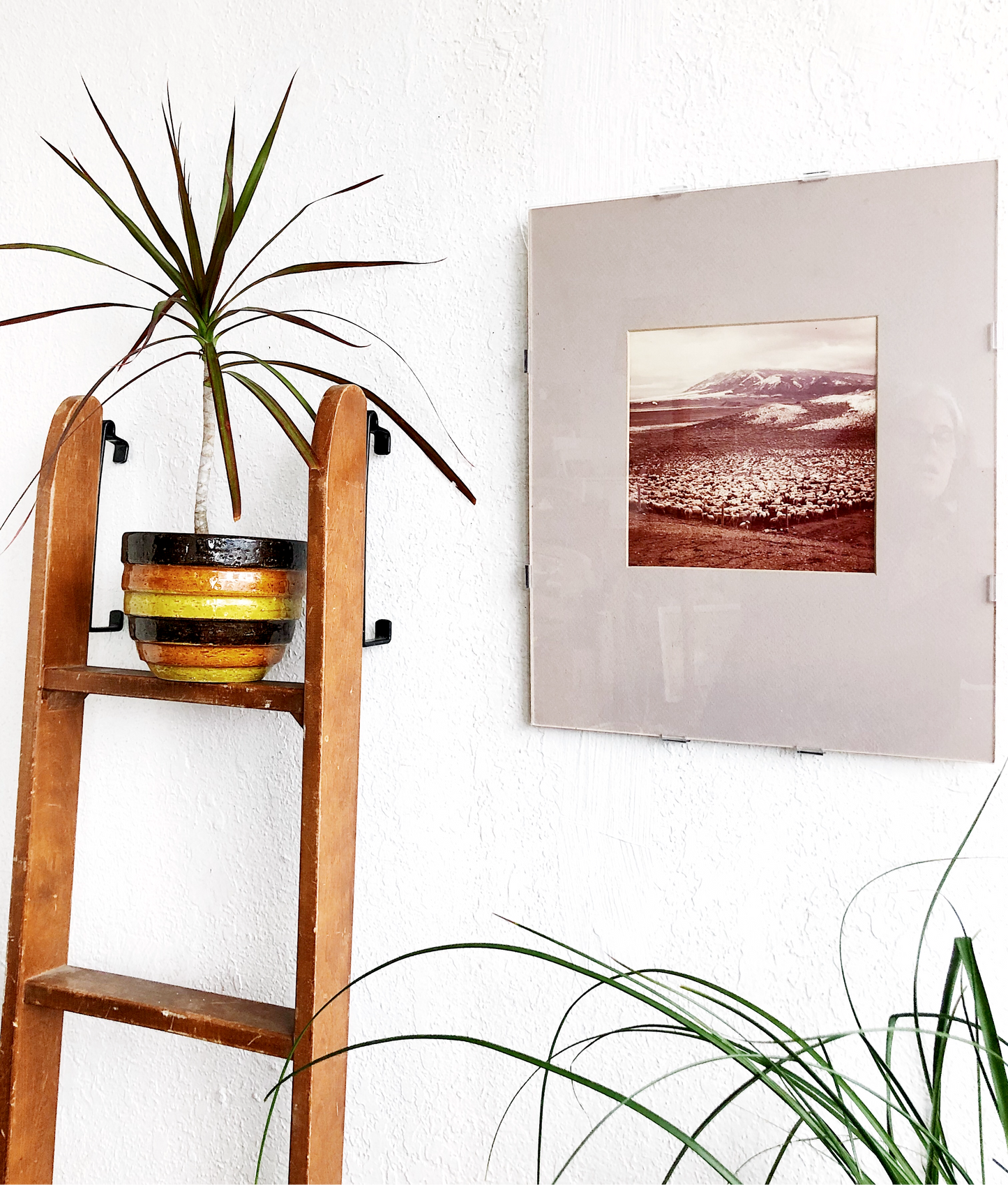 Vintage Icelandic Film Photo