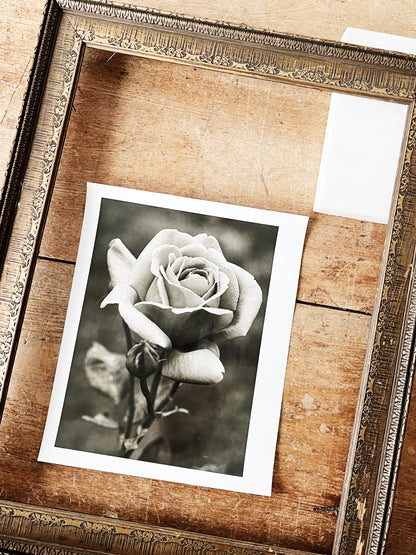 Antique Carved Wood Frame