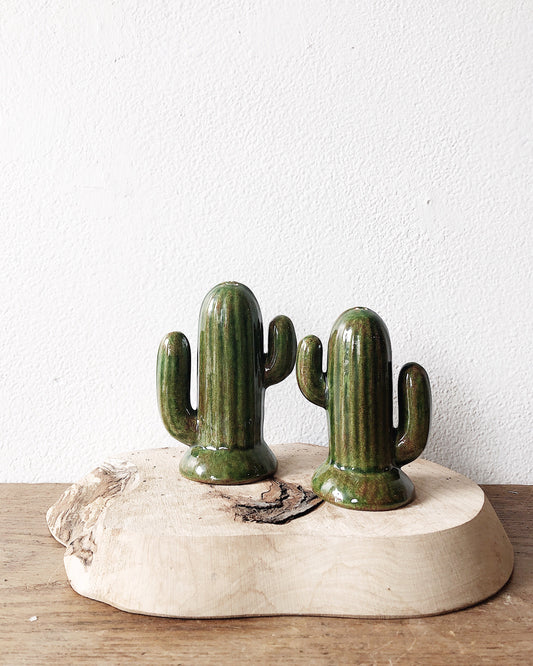 Pair of Vintage Cactus Salt and Pepper Shakers