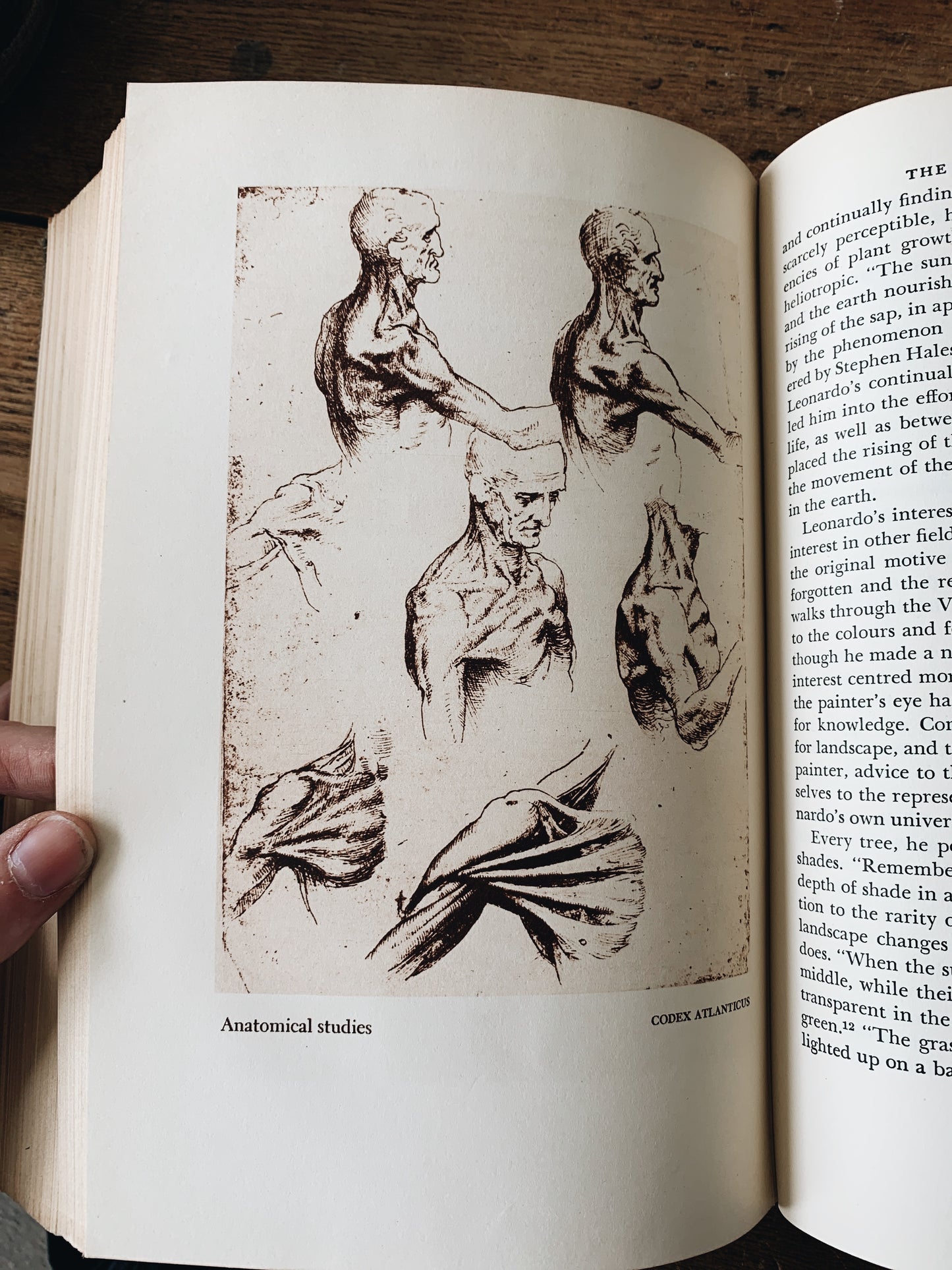 Vintage Leonardo da Vinci Book 1938
