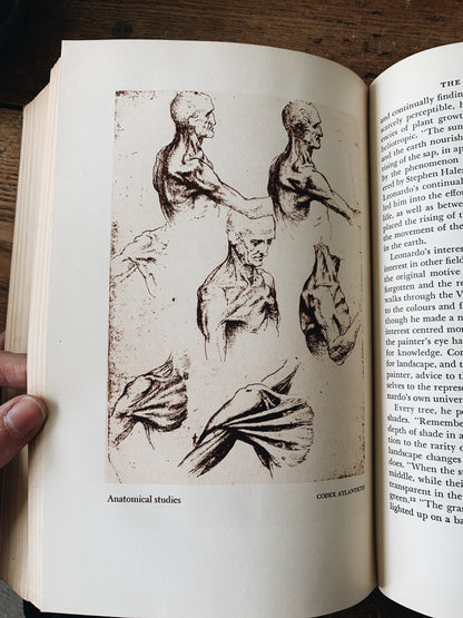 Vintage Leonardo da Vinci Book 1938