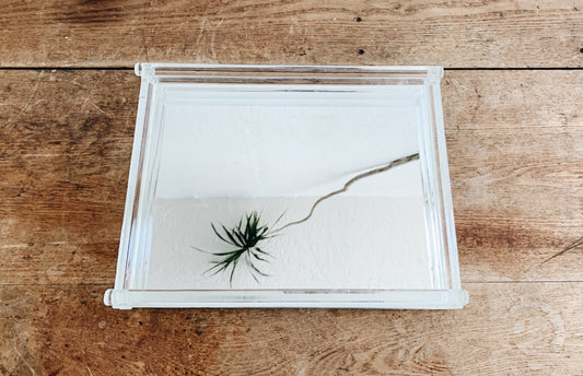 Mirrored Glass Rod Tray