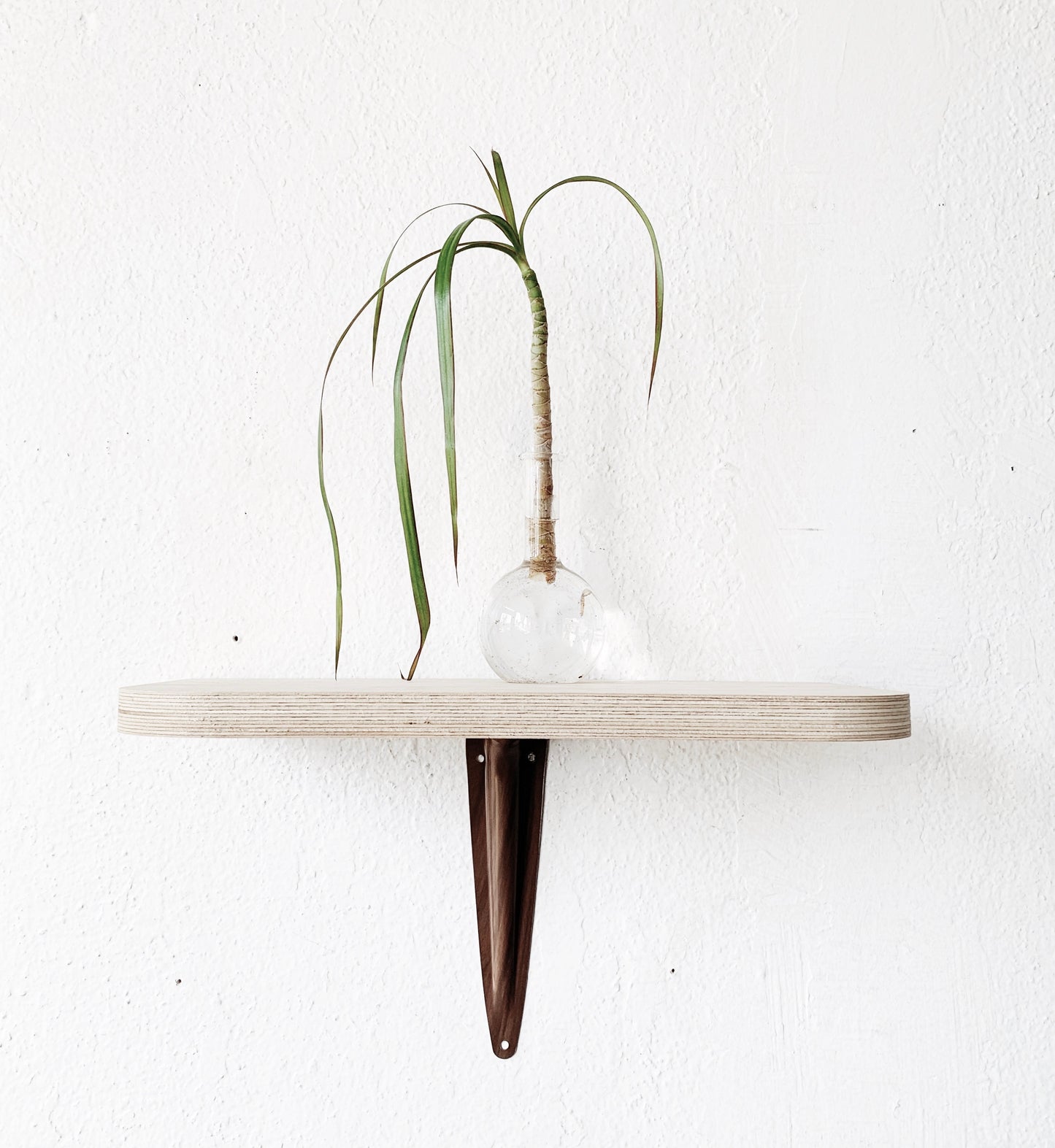 Baltic Birch Ply Wall Shelf