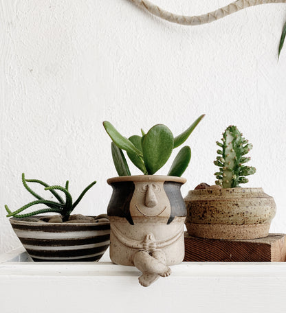 Small Potted Plant