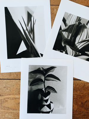 Vintage Imogen Cunningham Double Sided Duo Tone Print