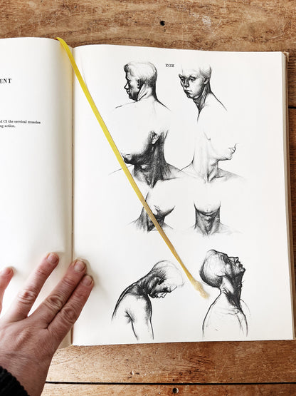 Mid Century Anatomy for the Artist Book