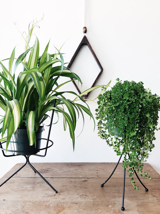 Vintage Mid Century Plant Stand