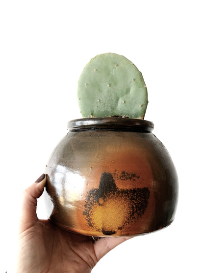 Potted Opuntia in Vintage Crock