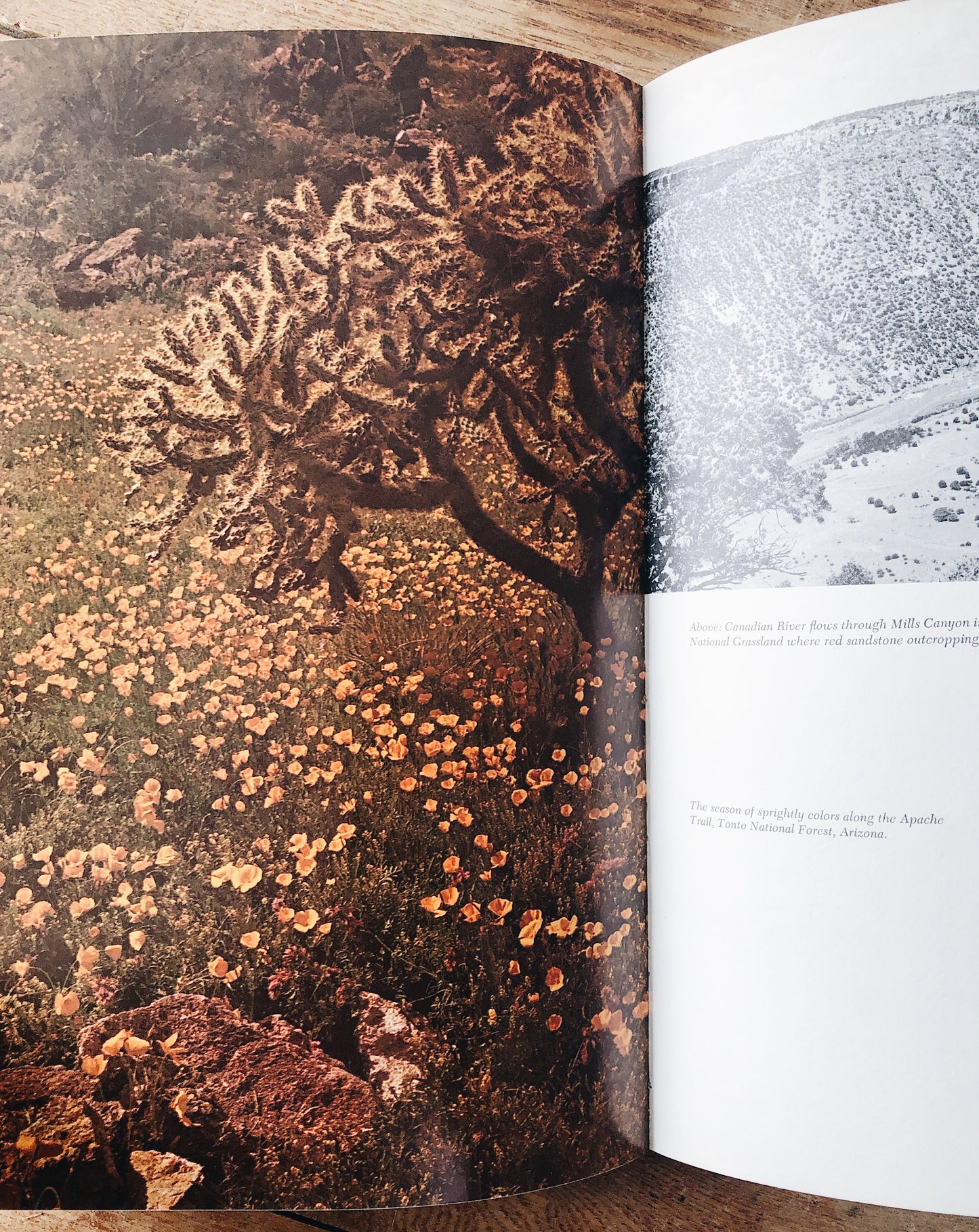 Vintage National Forests of America Book