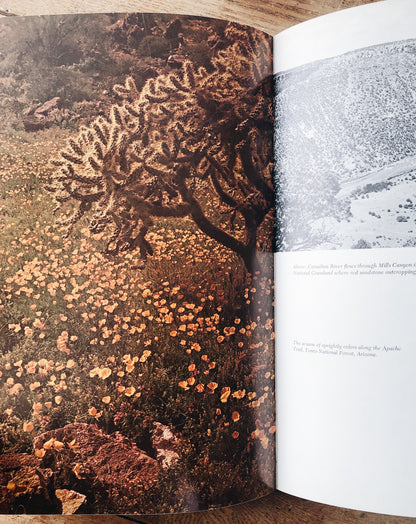 Vintage National Forests of America Book