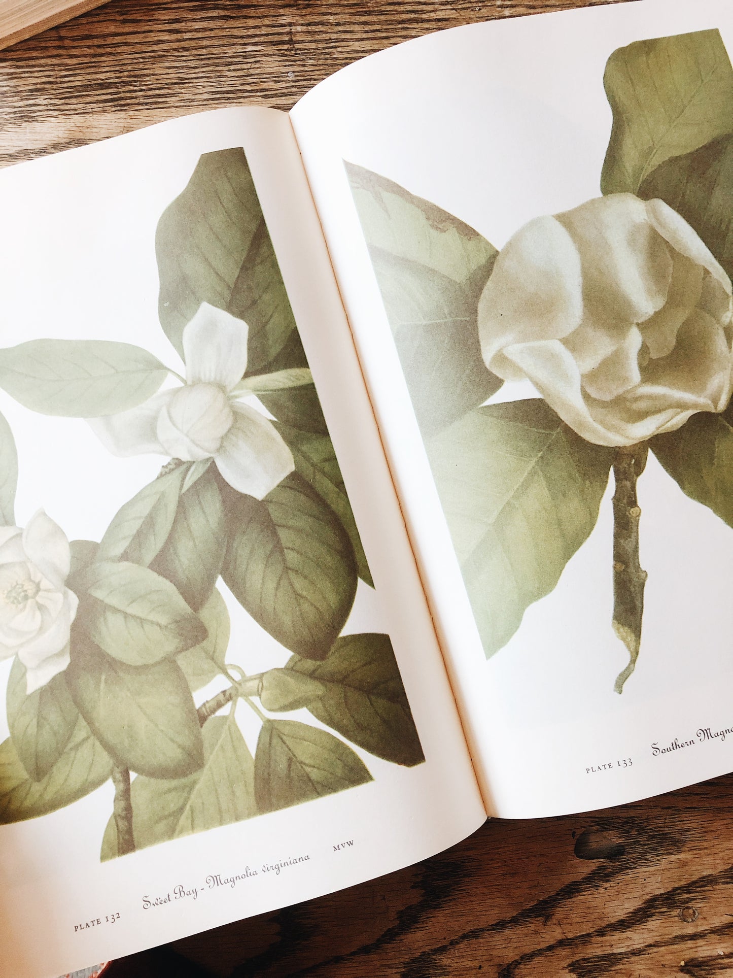 Vintage Wildflowers of America Book